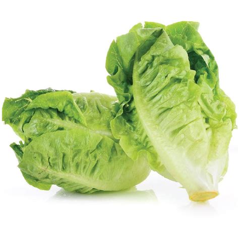 Grozer Baby Romaine Lettuce | NTUC FairPrice