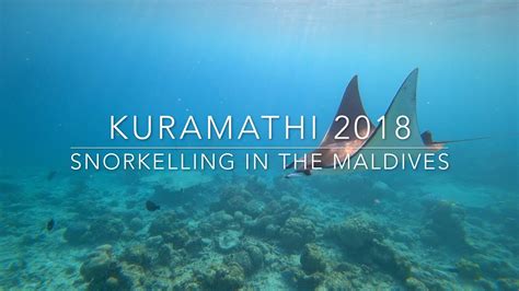 Snorkelling in the Maldives - Kuramathi - 2018 - YouTube