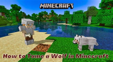 How to Tame a Wolf in Minecraft [Completed Guide] | Ricky Spears