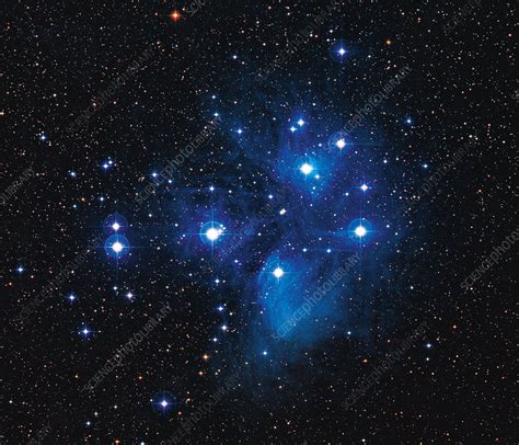 Pleiades star cluster - Stock Image - R614/0212 - Science Photo Library