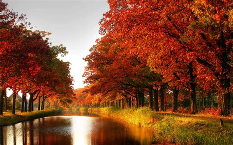 Autumn Colors wallpaper | 1920x1200 | #28993