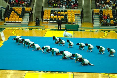 Norfolk State University Cheerleaders at the 2013 MEAC Che… | Flickr