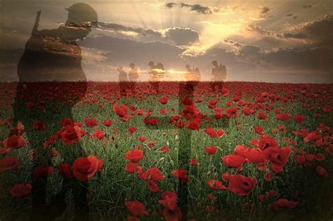 flanders field poppies torch - Google Search Remembrance Day Pictures, Remembrance Day ...