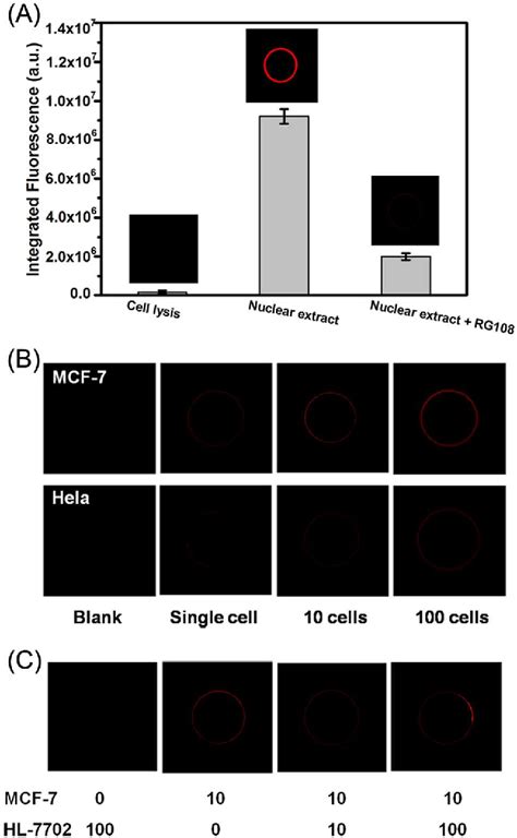 Figure 4 from Ultrasensitive and Accurate Assay of Human ...