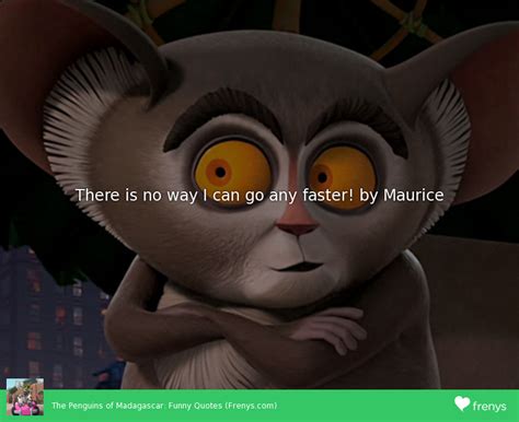 Funny Madagascar Quotes. QuotesGram