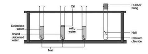 Unique Describe An Experiment To Show The Conditions Necessary For Rusting Of Iron Ap Calculus ...