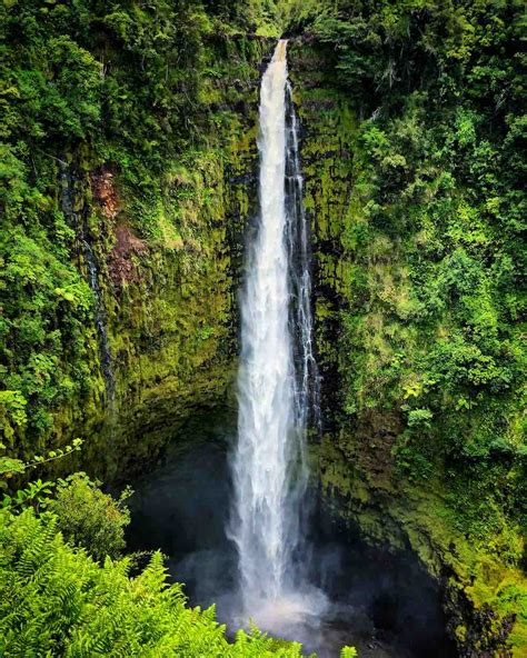 7 Best Hawaii Waterfalls to Visit | Hawaii Travel with Kids (2023)