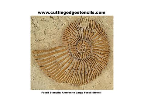 Fossil Stencils by Cutting Edge Stencils