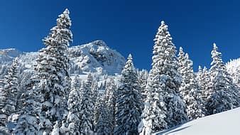 allgäu, füssen, winter, backcountry skiiing, snow, panorama, view, sky, wide, beautiful ...
