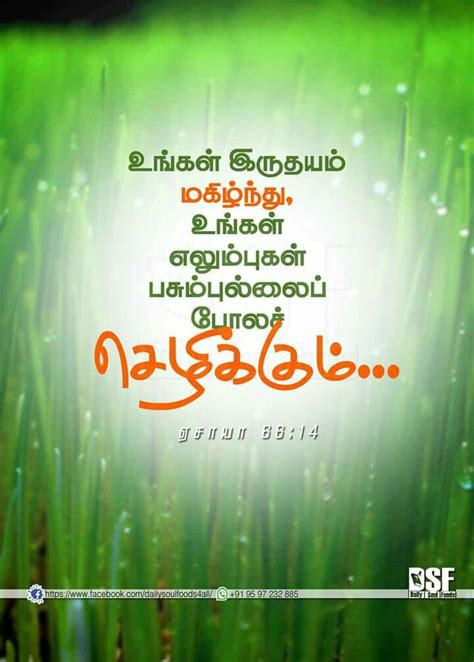 Today tamil bible vasanam - essadeba