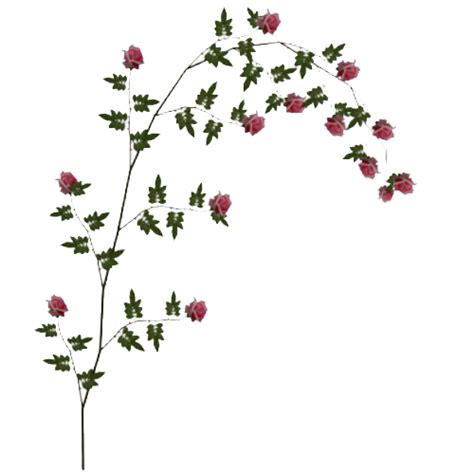 Rose Vine PNG HD Transparent Rose Vine HD.PNG Images. | PlusPNG