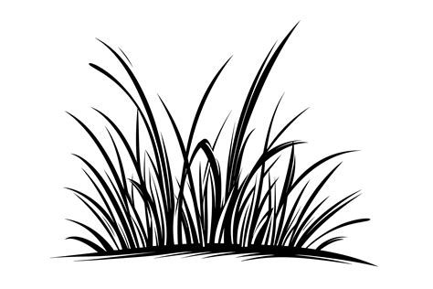 Grass Clipart Graphic by Illustrately · Creative Fabrica