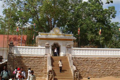 Jaya Sri Maha Bodhi in Anuradhapura - Green Holiday Travels