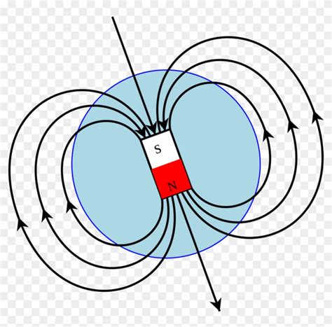 Magnetism - Magnetic Field Clipart (#1327228) - PikPng