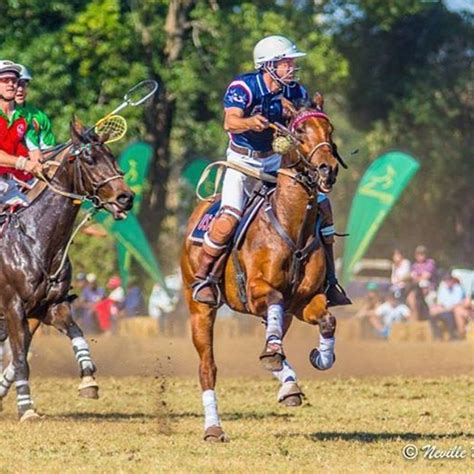 Polocrosse World Cup | American Polocrosse Association