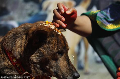 People celebrate Kukur Tihar