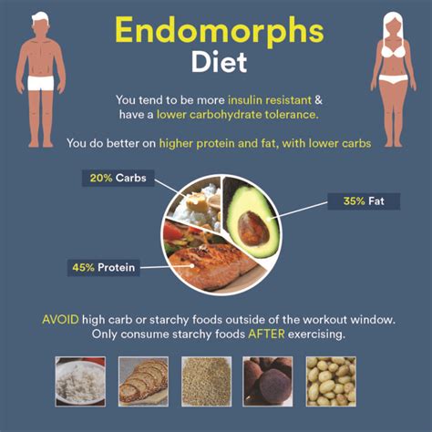 Endomorph Workout Plan, What Is The Best Exercises For Endomorphs