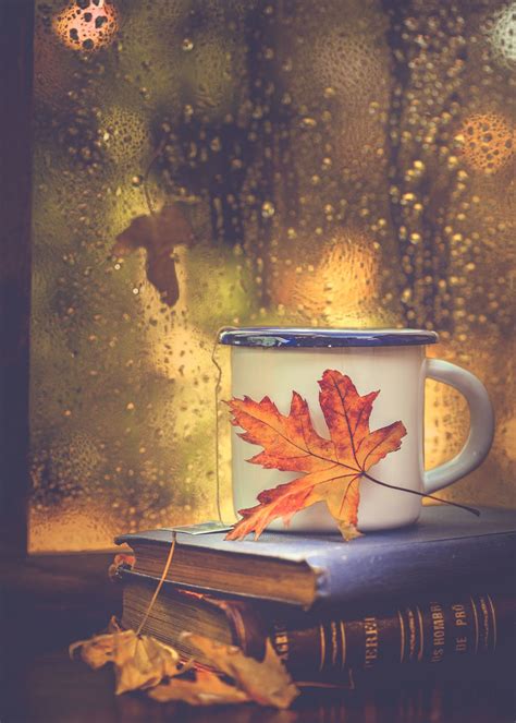 Books, tea and rain drops | Fall pictures, Autumn inspiration, Autumn ...