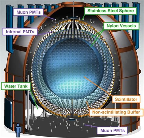 CNO fusion neutrinos from the sun observed for the first time