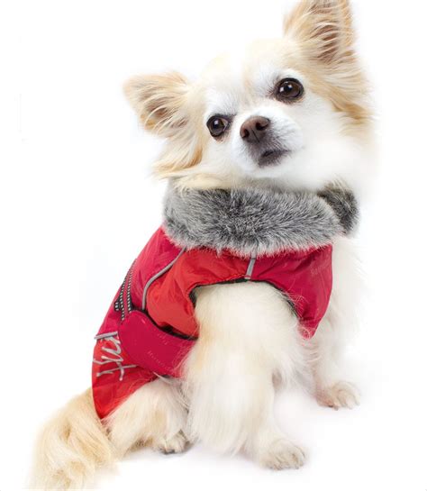Top 35 Winter Clothes for Dogs | Dog winter coat, Dog coats, Dog jackets winter