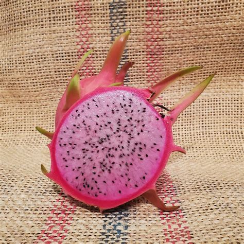 Townsend Pink Dragon Fruit pink fleshed variety from Spicy Exotics