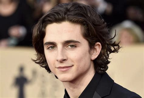 Timothée Chalamet’s Family Tree - McSweeney’s Internet Tendency