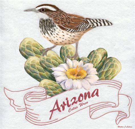 Arizona State Bird Cactus Wren Digital Art by Walter Colvin - Pixels