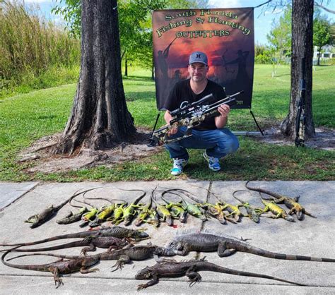 Iguana Hunting in Florida - Top Guided Iguana Hunts