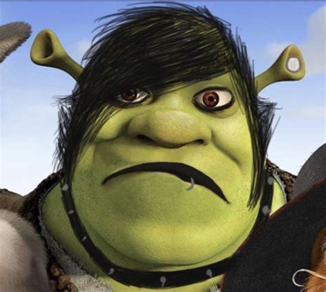 Thanks I hate Emo Shrek : r/thanksihateit