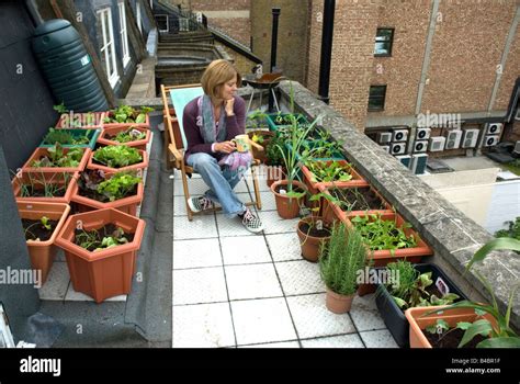 Urban Vegetable Garden Design | See More...