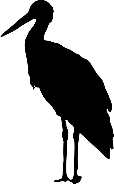 Stork Silhouette transparent PNG - StickPNG