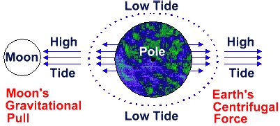 How Does the Moon Affect Tides?