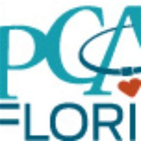 SPCA Florida - Animal Shelters - Lakeland, FL