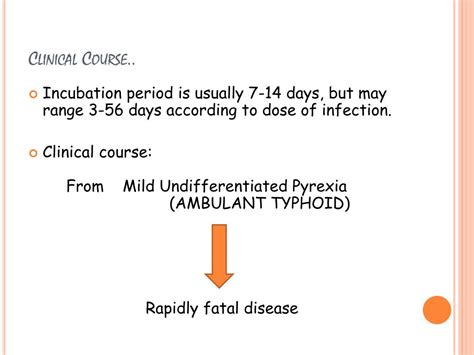 PPT - salmonella PowerPoint Presentation, free download - ID:2185763