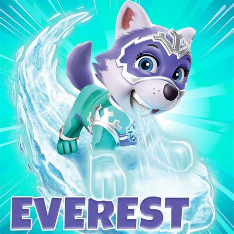 Image may contain: text | Everest paw patrol, Paw patrol toys, Paw patrol birthday