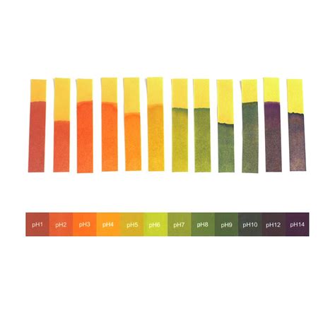 Universal Indicator Paper #3 Photograph by Science Photo Library - Fine ...