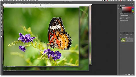 Document Window In Photoshop - Free Documents