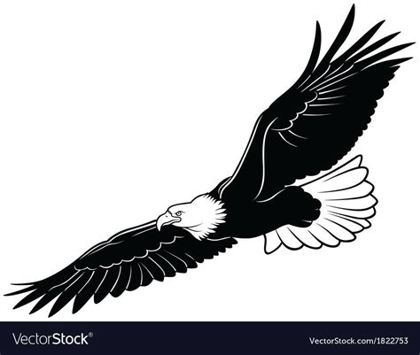 Soaring Eagle Vector at Vectorified.com | Collection of Soaring Eagle Vector free for personal use