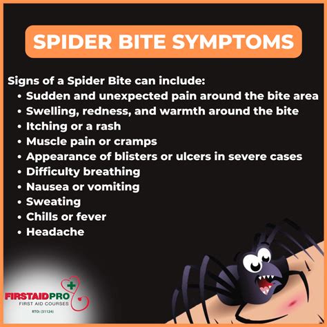 Spider bites - When to worry, Symptoms & First Aid