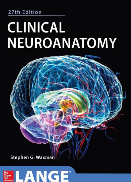 The Clinical Neurophysiology Primer Pdf - havenmultifiles