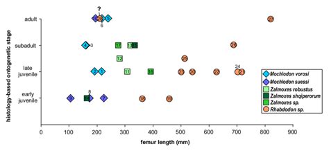 Relationship between histology-based ontogenetic stages and femur... | Download Scientific Diagram