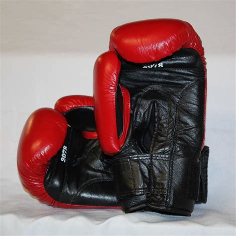 EVERLAST Boxing TRAINING GLOVES 8 oz leather - red - Hollywood Filane