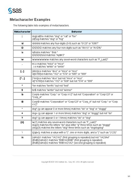 SAS Metacharacter Examples | PDF