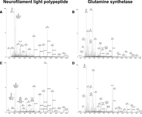 Examples of fragmentation-induced mass spectra. Mass spectra of the ...