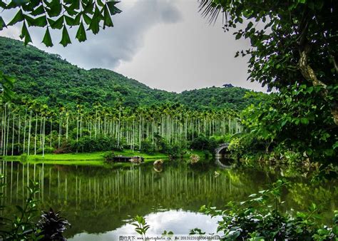 海南热带雨林_海南热带雨林公园_微信公众号文章