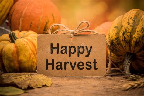 Fall harvest cornucopia. stock photo. Image of healthy - 123944518