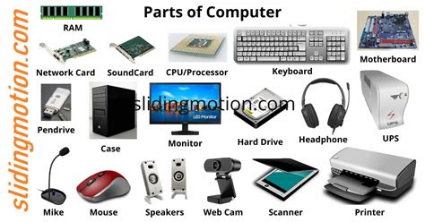 20 Must-Know Parts of a Computer: Names, Functions & Diagram