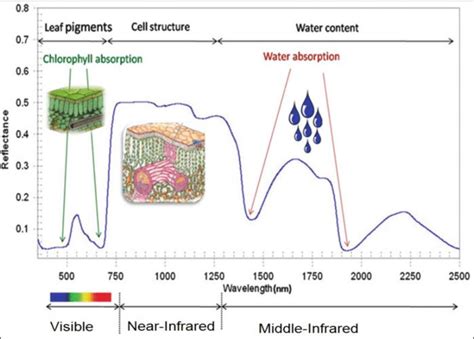 Typical spectral reflectance curve of healthy vegetation depicting ...