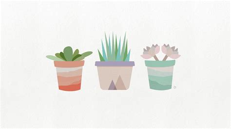 Succulent Wallpapers (51+ images)