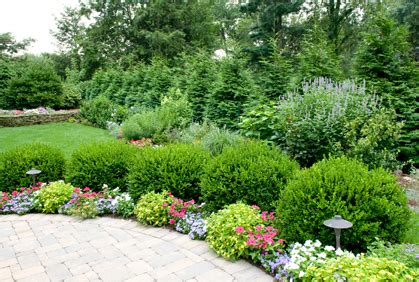 Pictures of Shrubs for Landscaping 2016 Design Plans